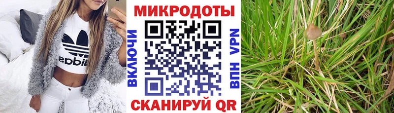 Псилоцибиновые грибы мицелий  Воткинск 